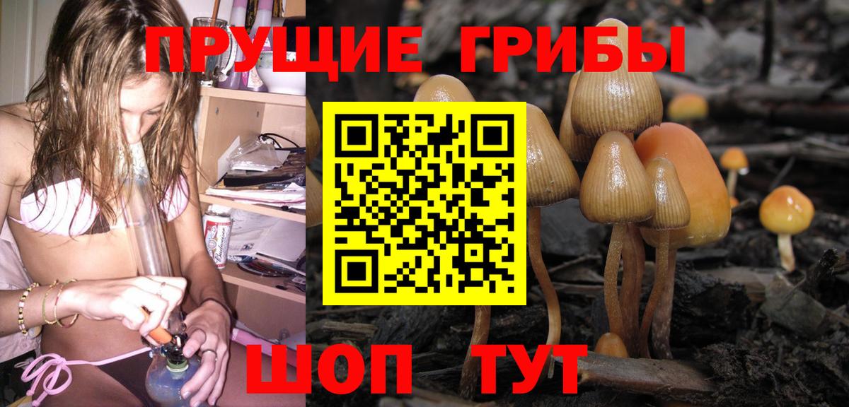 Псилоцибиновые грибы MAGIC MUSHROOMS Клин