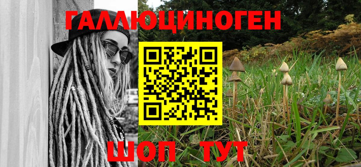 Псилоцибиновые грибы мухоморы  Галлюциногенные грибы Psilocybine cubensis  Клин 